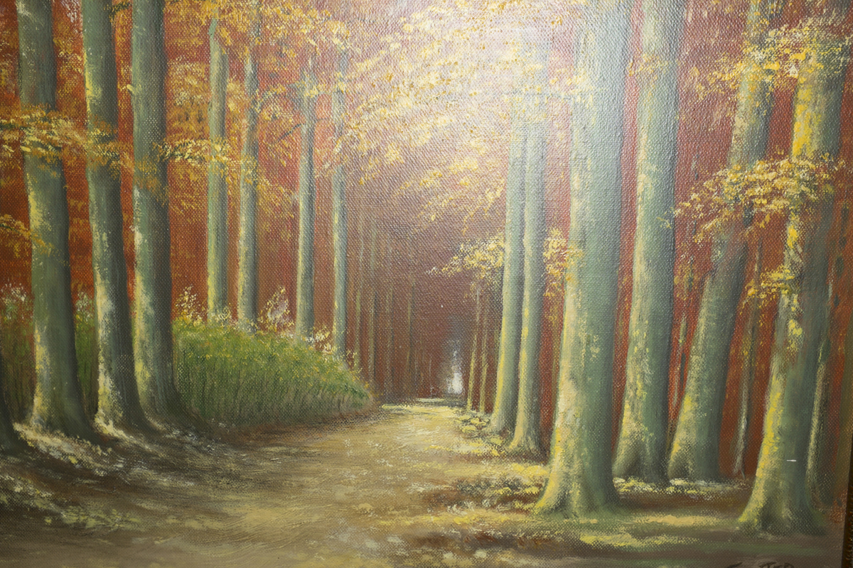 Autumnal sceneo