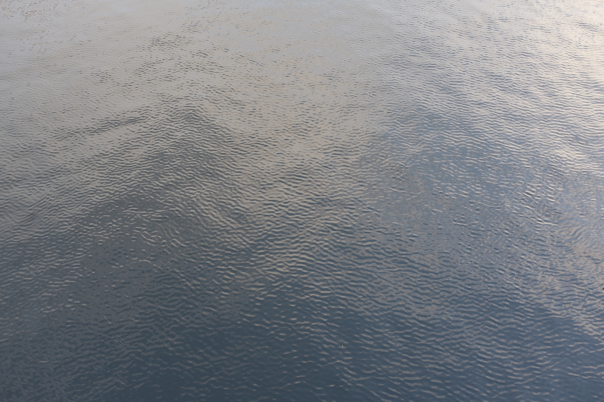 Filler pic of the river - been thinking about them alot recently.