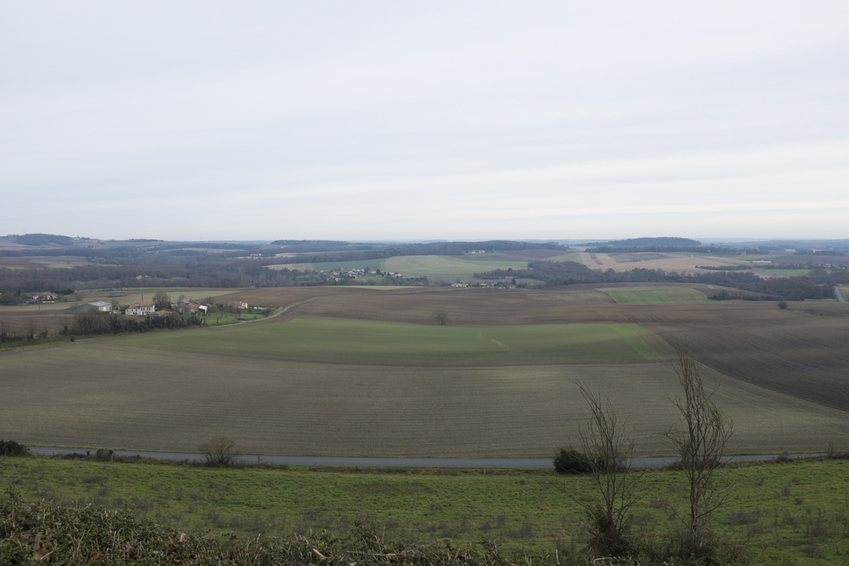 French farmland.