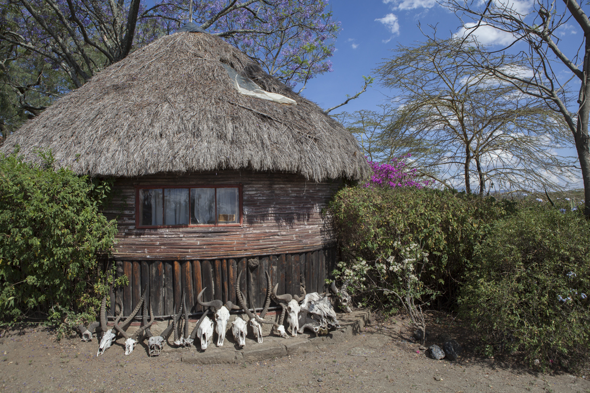 This hut in on the property of Linda, the owner of Crescent Island near Niavasha.