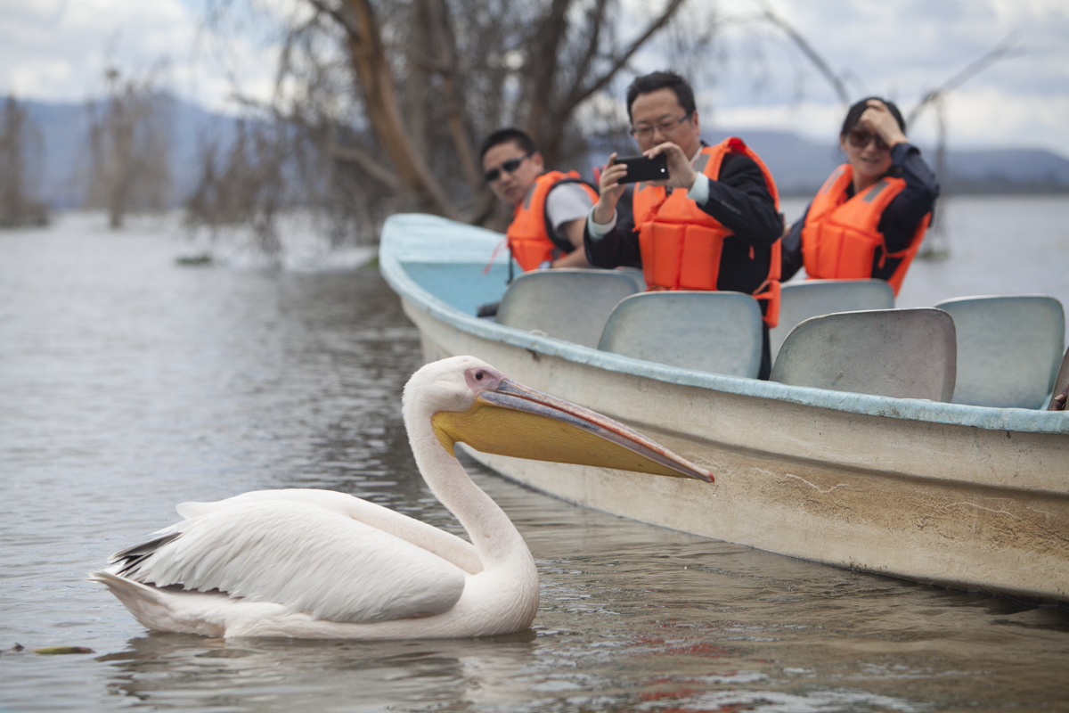 Some people taking a picture of a pelican.