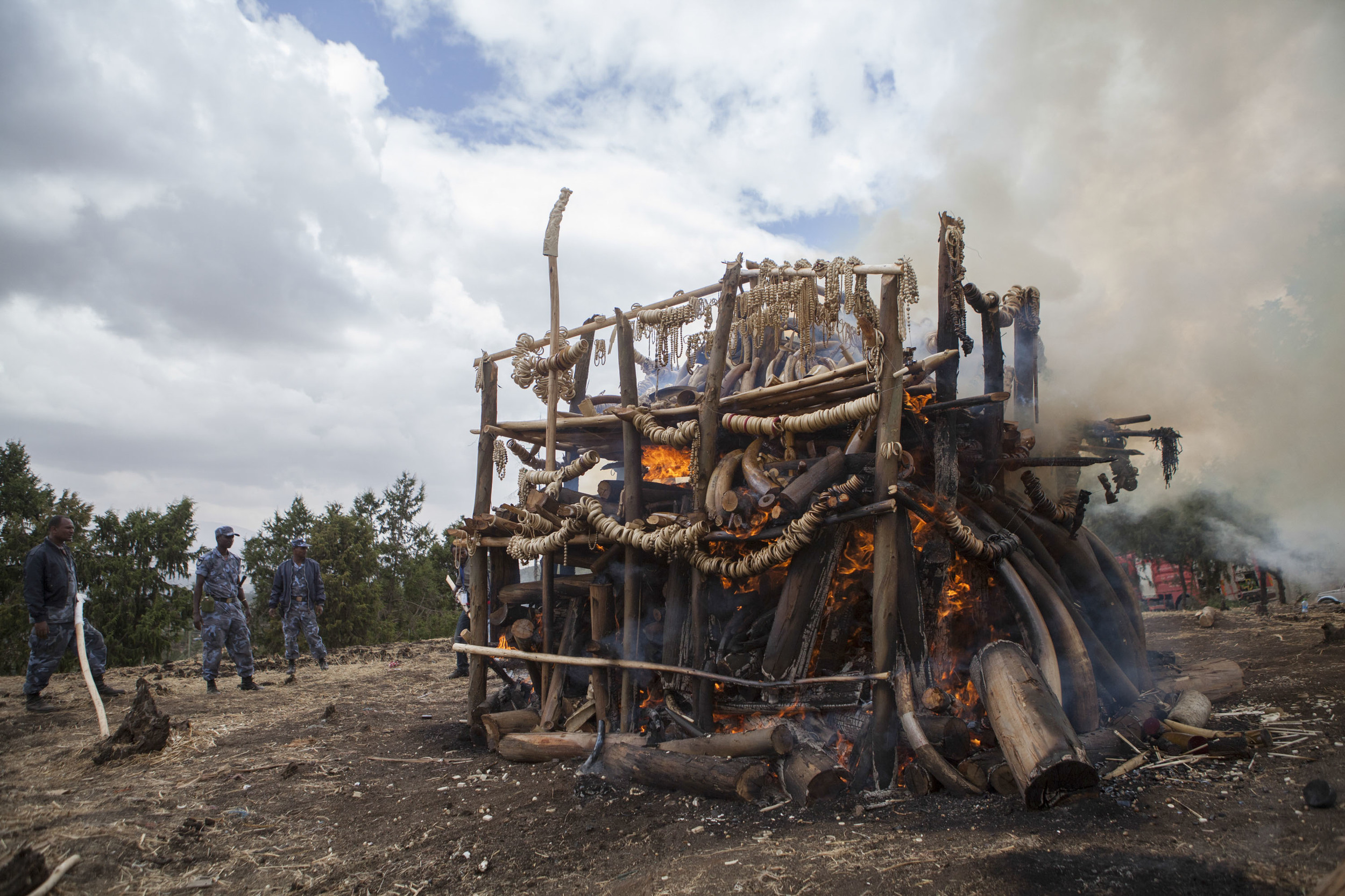  Federal Police of Addis Ababa are pictured looking on to the 6 ton mass of ivory as it burns outside of Addis Ababa on 20 March 2015. The ivory has been collected from seizures at Addis Ababa Airport, as well as from illegal poaching in Ethiopia. &n