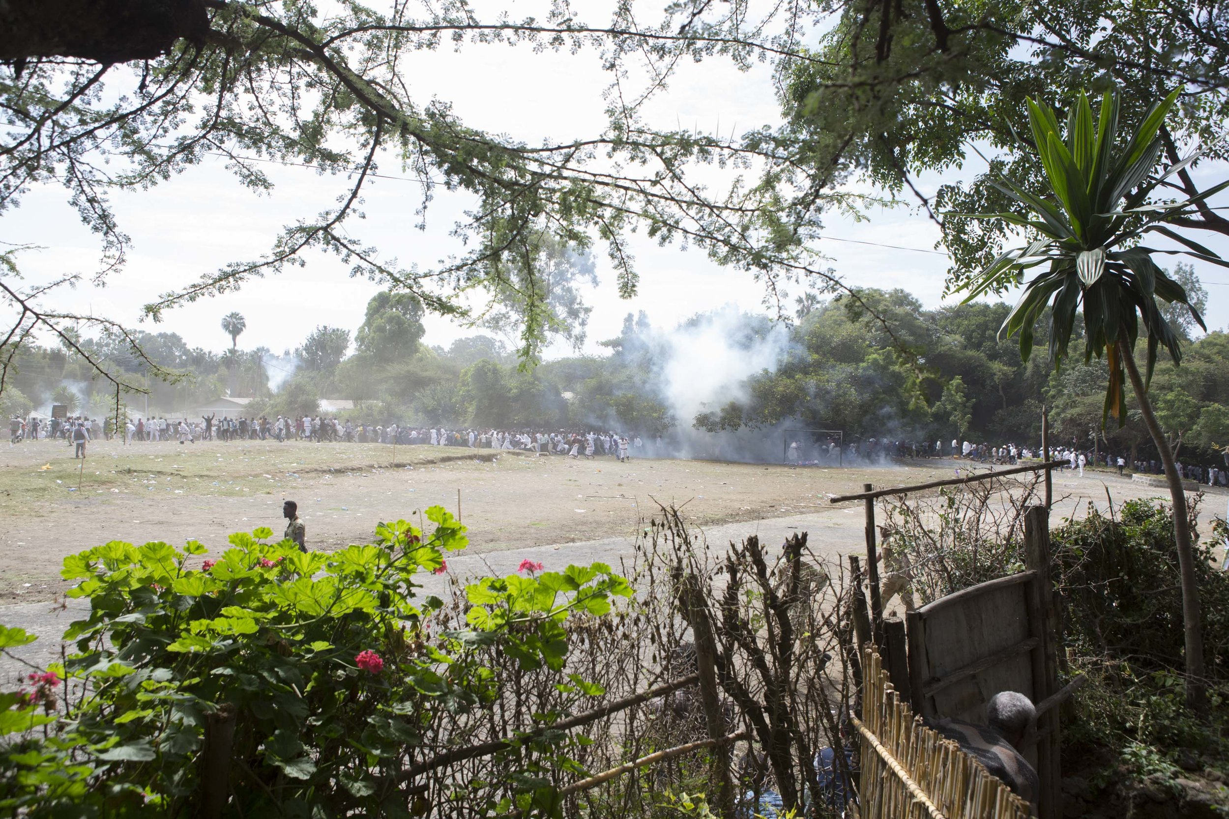 An old man hides inside his compound after the festival took a violent turn.