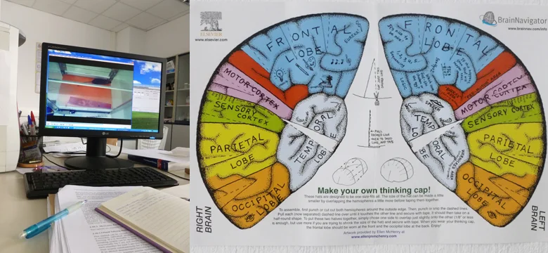 neurolab.jpg