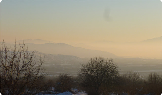 P1010492.jpg
