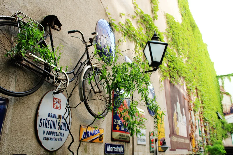At Bajer Cafe, probably my favorite photo from the whole tour!