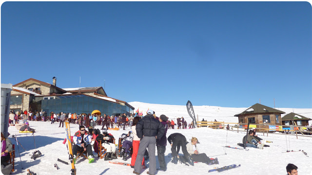 P1010435.jpg