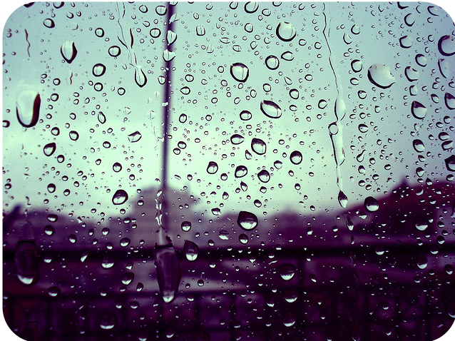 %25CE%25A4housand+thoughts+by+Photovicious+V+in+flickr.jpg