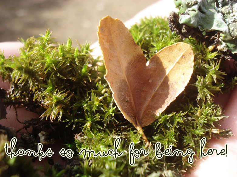 heart+shaped+leaf.jpg