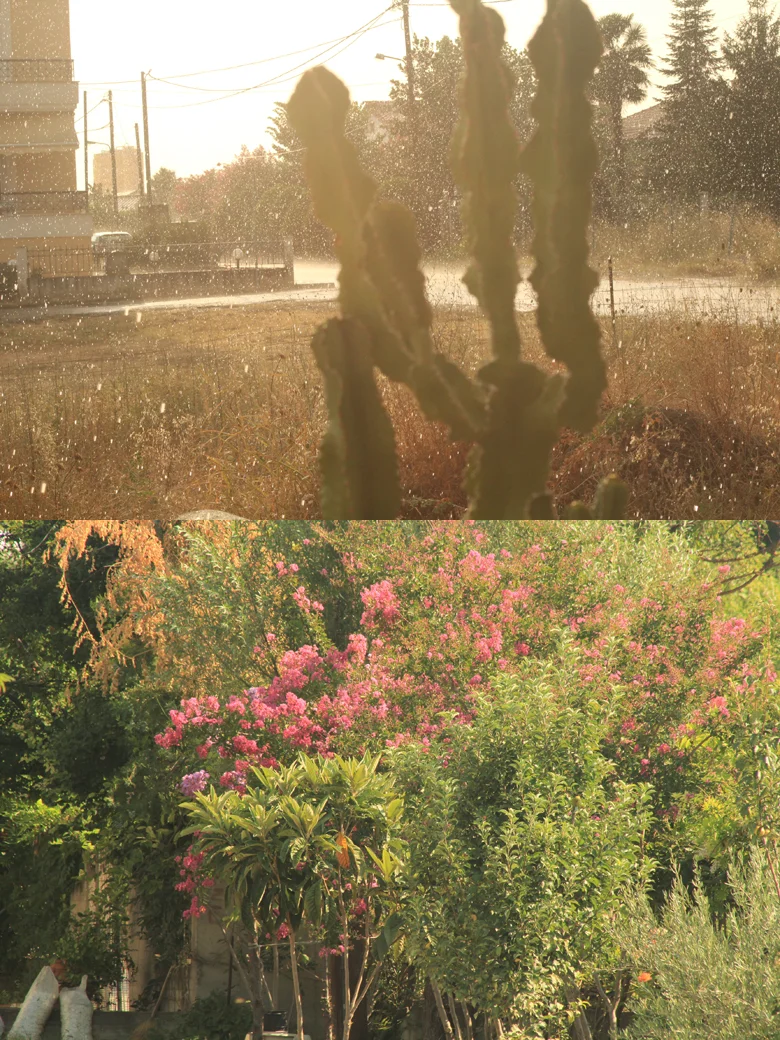 rainy+day2.jpg