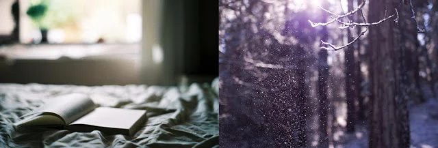 morning+light.jpg