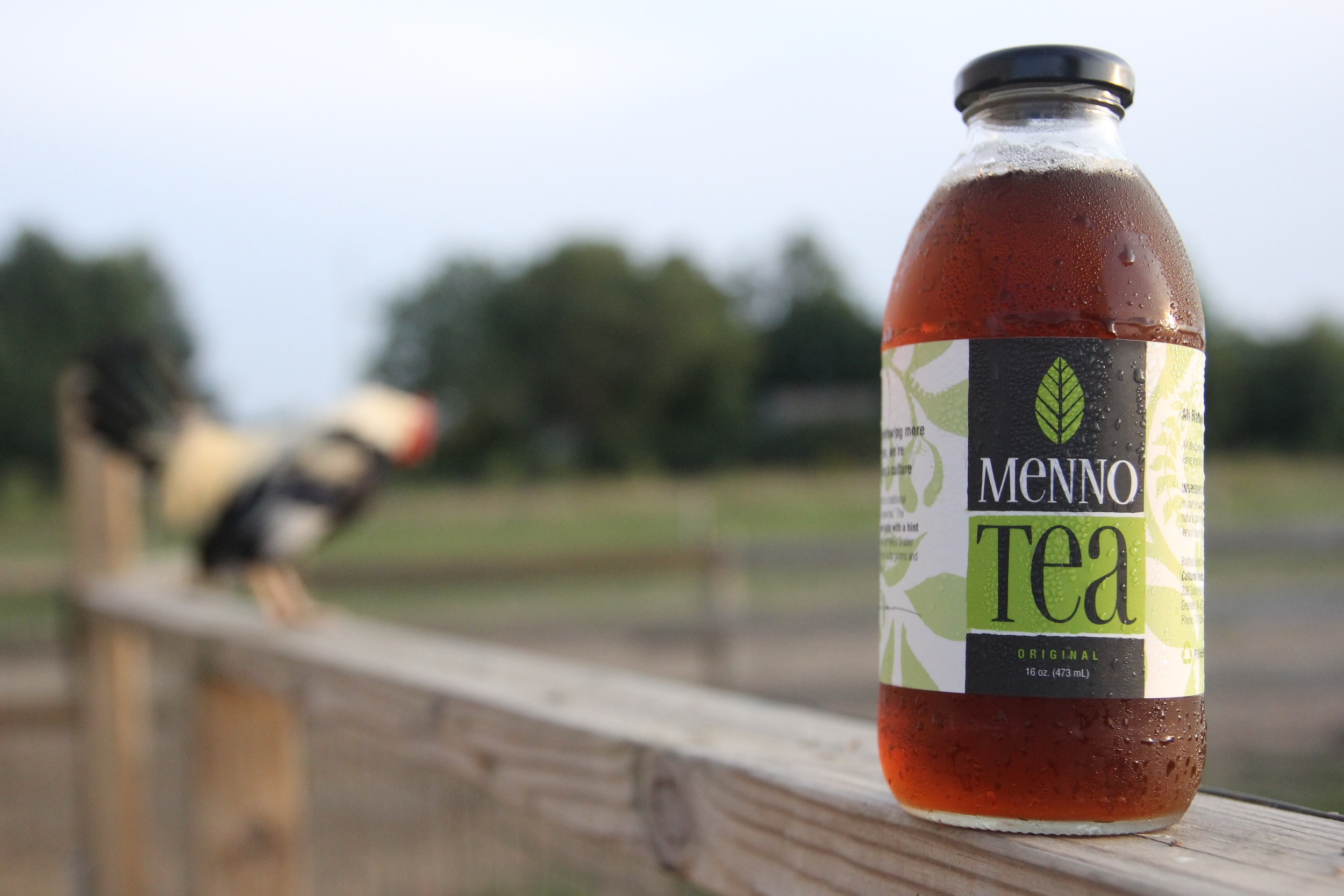 menno-tea-mint-tea-amish-mennonite-spearmint-peppermint-bottled-tea-dried-tea-hot-tea