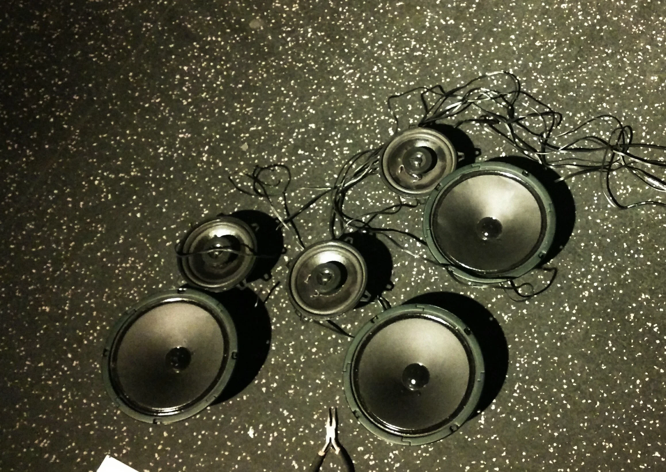 Come and meet all the members of the happy Bergensmonium family!