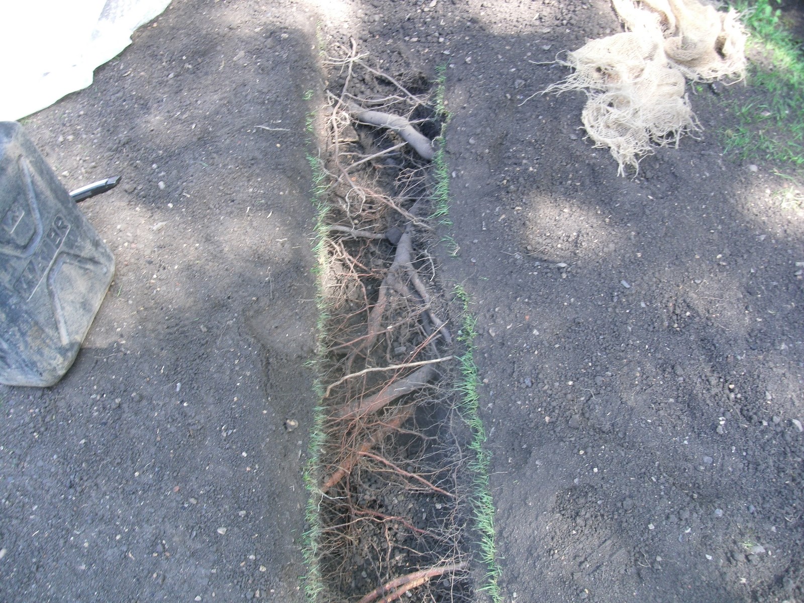 Solving root problem with air spade