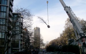 Crane assisted