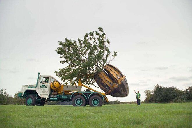 Stocker_2B8_2B2.1_2Bmetre_2Bdiameter_2B_2Btree_2Bs.jpg