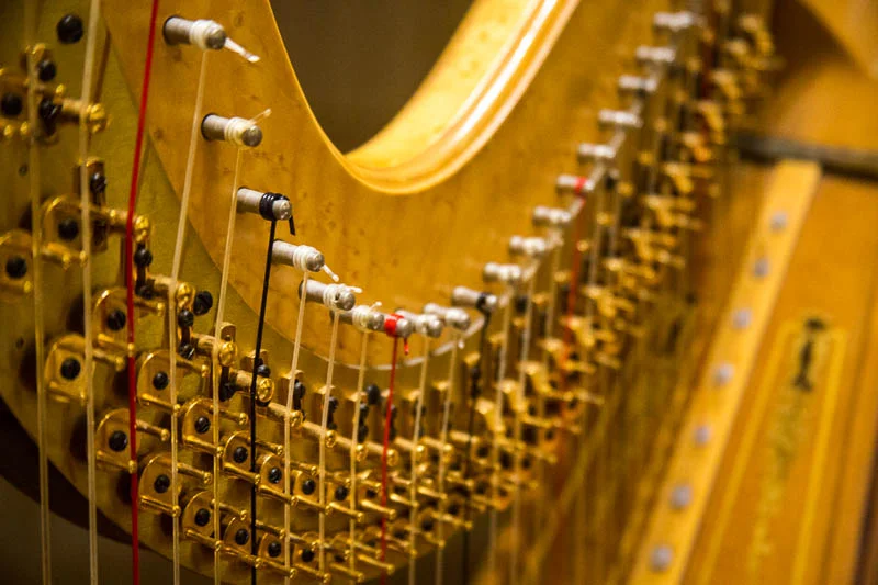 Harp7.jpg