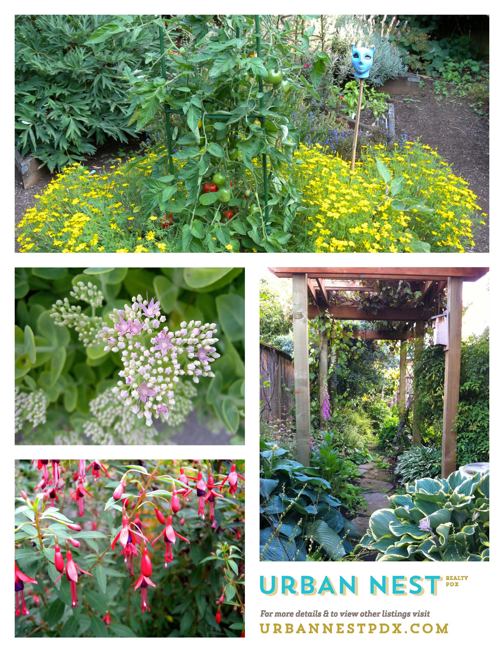 summer garden_Page_2.jpg