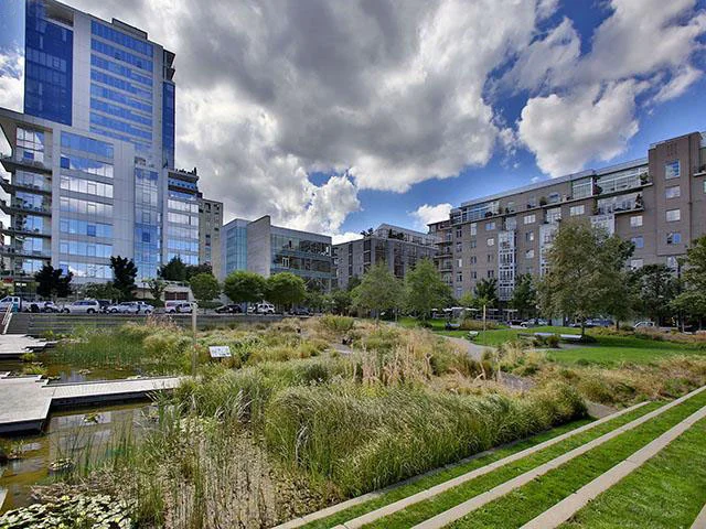 Yard 3.jpg