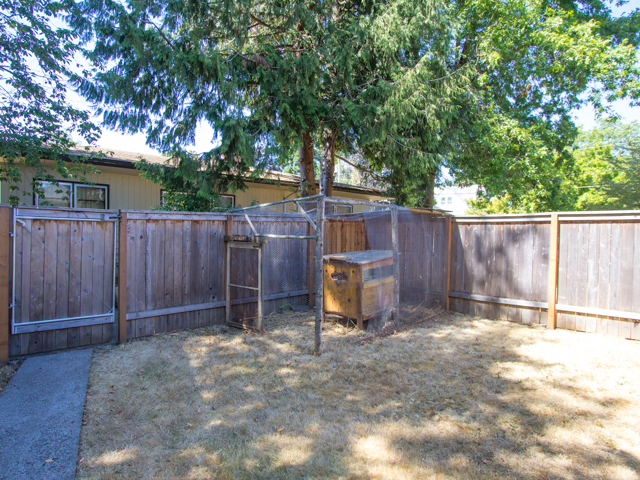 NE Thompson Chicken Coop Web.jpg