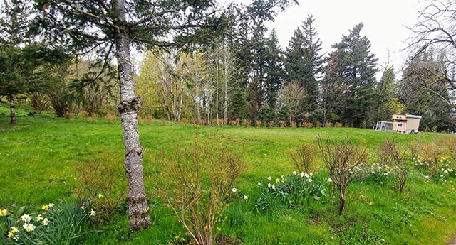 Meadow Facing NW.jpg