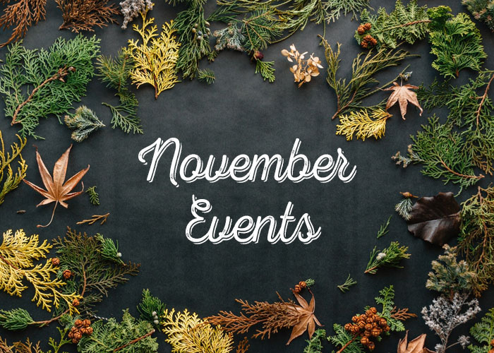 Portland November Events Worth Catching Food, Family Fun, and More
