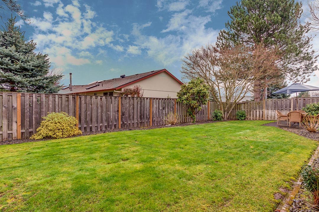backyard2.jpg