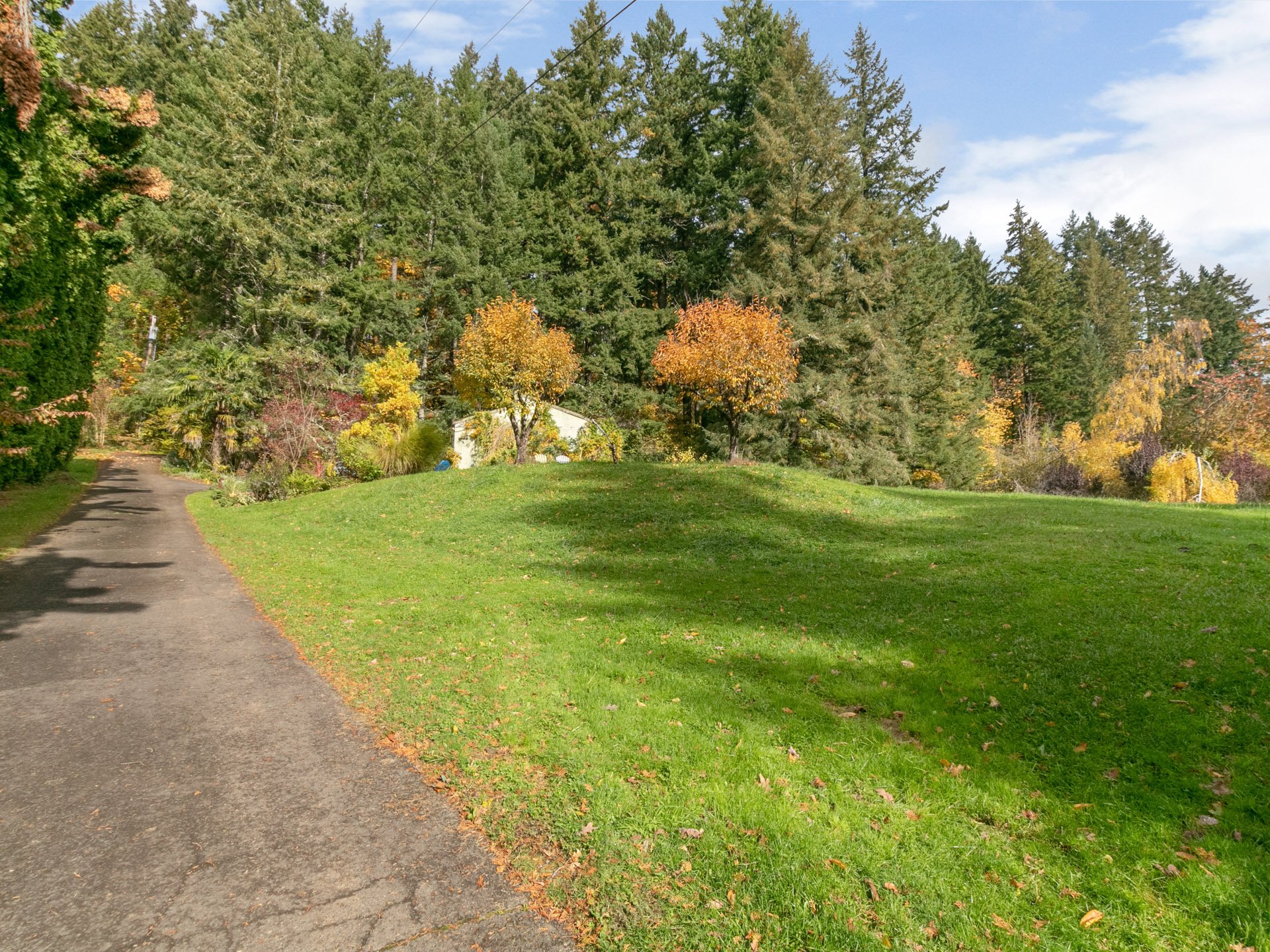 18724 S Walker Rd, Oregon City-WEB-6.jpg