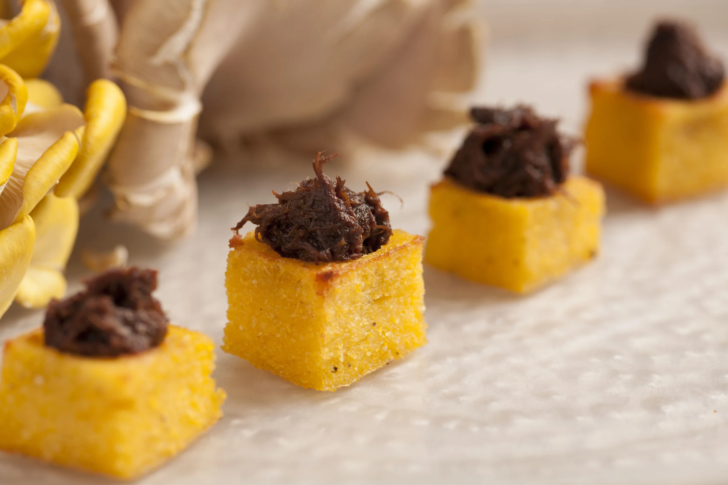 beef short rib confit | toasted polenta cup