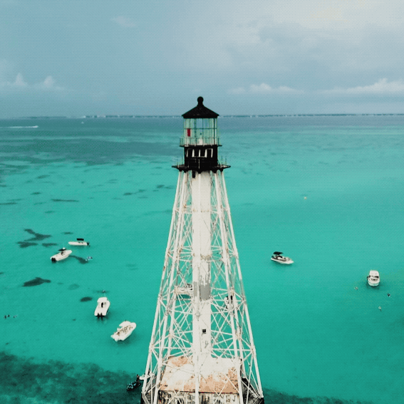 Alligator Reef GIF.gif