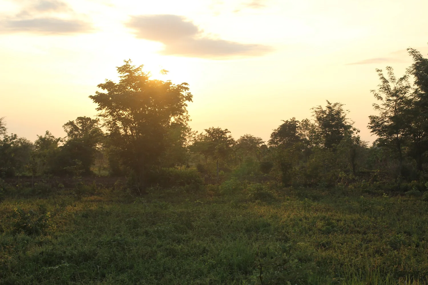 Sunrise in The Minefield Village, the last time I saw Srey Mom. 