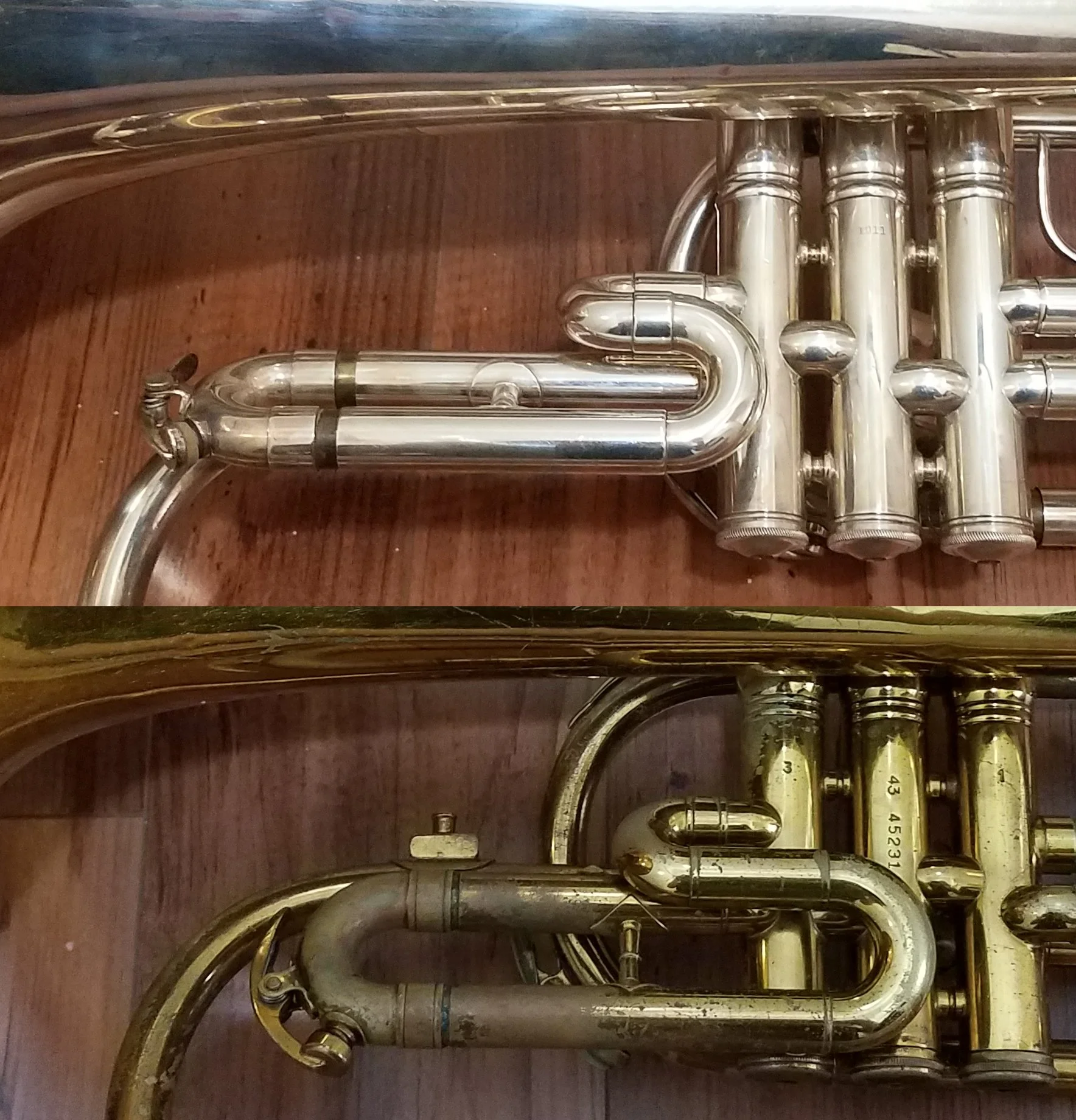 The Lineage of the King 1120 Mellophone — Tiffany Johns