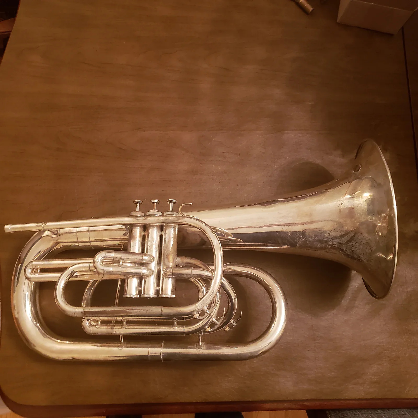 Dynasty euphonium bugle