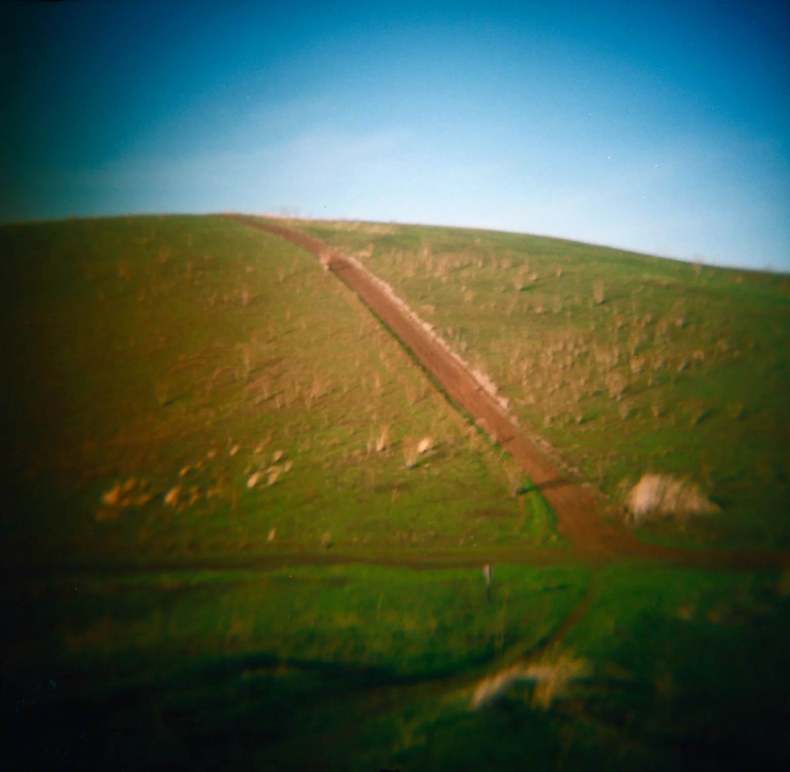 CoyoteHillside.jpg