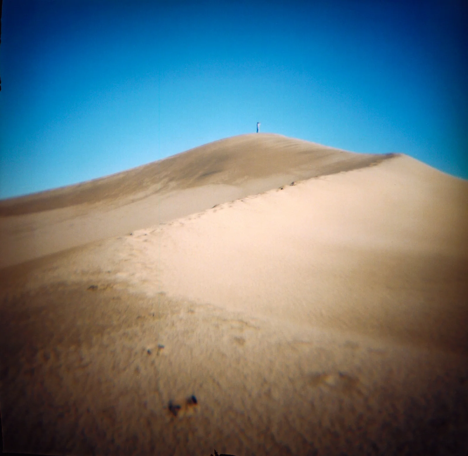 img943.jpg
