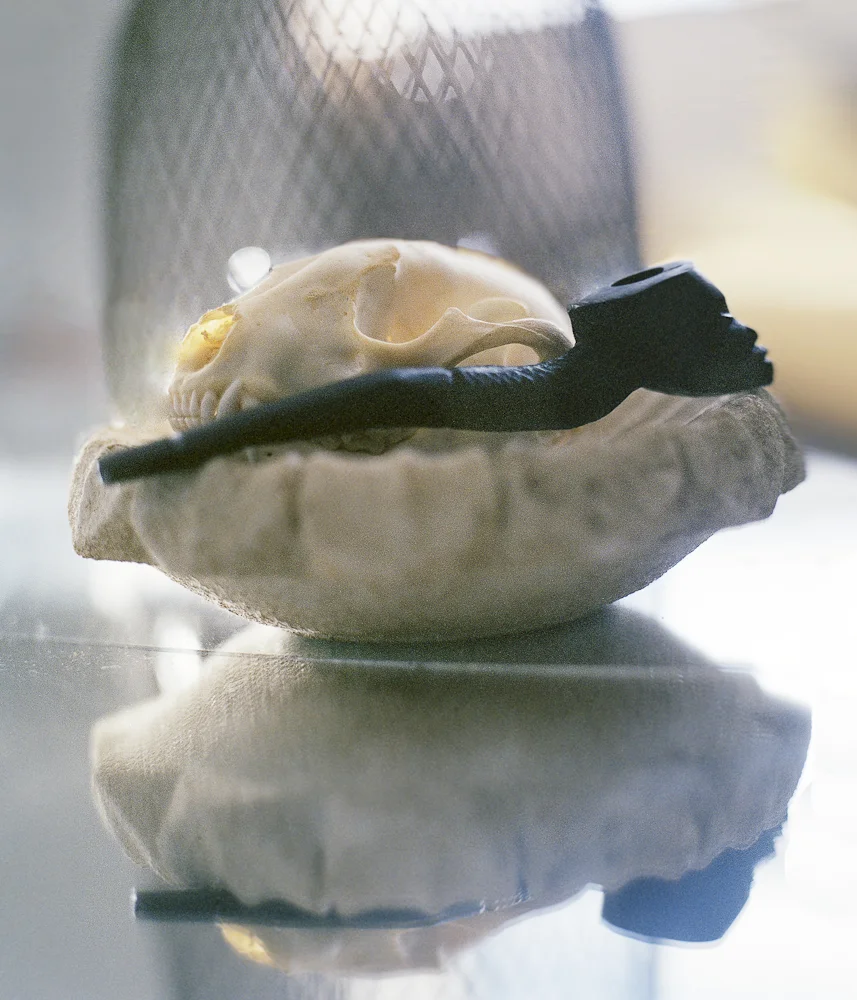 Jesse's pipe, Brooklyn 2013