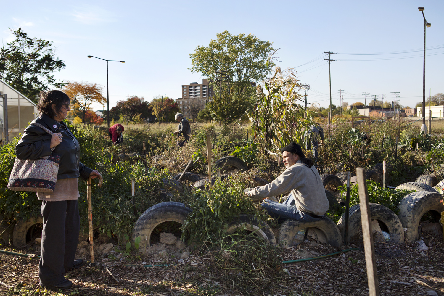 Susan Sunshine, left, an Occupy Detroit activist also known as The Earth Poet, talks to local resident Jerry Peterson while he picks tomatoes out of an urban garden at Spirit of Hope in North Corktown. Other community members forage in the background during a work day open to the community at the farm. The farm has been open since 2007 and was started by Kate Devlin.