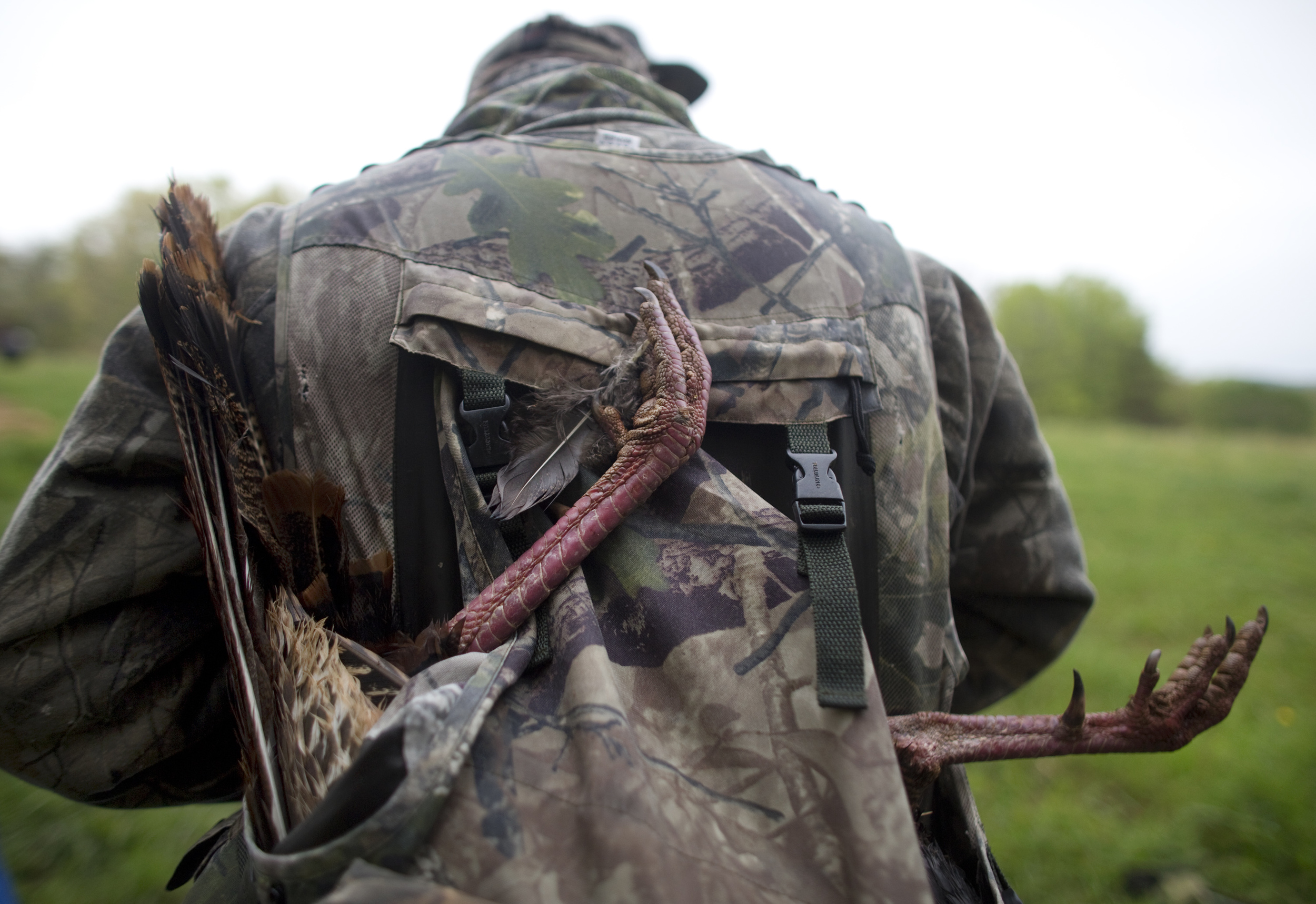 Steve Davenport packed up the gobbler into his sack to carry back to the Moose Lodge.
