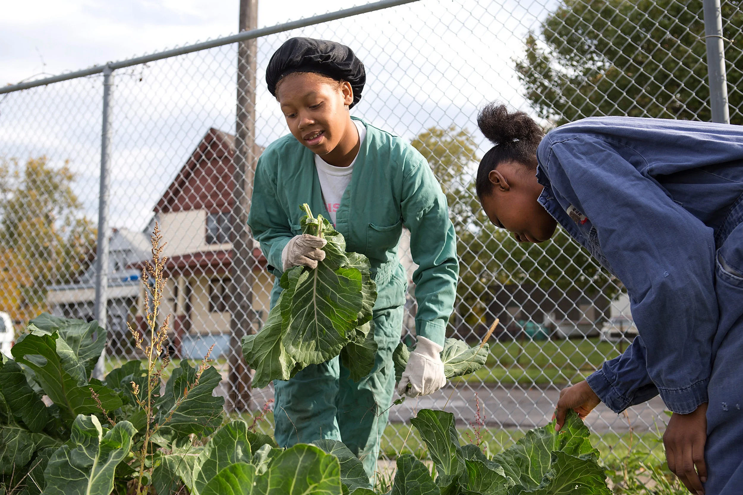  Students in the Farming Mothers Club pick the last of the harvest in the two-and-a-half acre lot behind Catherine Ferguson Academy, which houses a working farm, complete with goats, chickens, sometimes ducks, rabbits and a horse. The agriculture cur