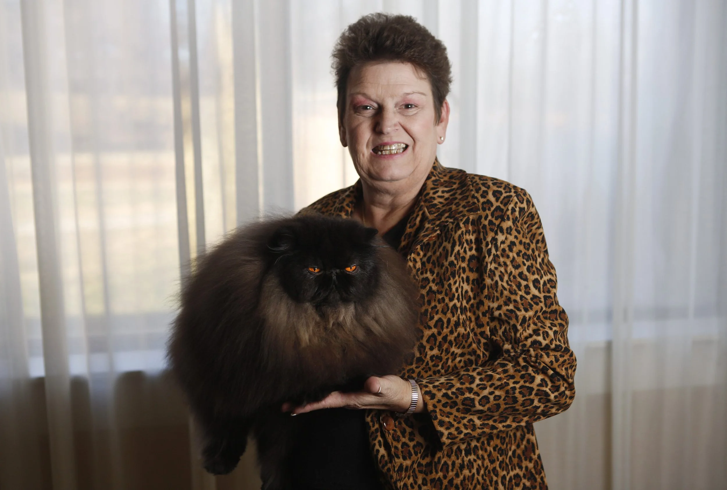  Ginger Gunlock of Waynesville, Ohio, with her cat, Bart, or its registered name, Suavere's Dark Secret of Penobscot, during the Central Carolina Cat Fanciers and Star City Cat Fanciers CFA Allbreed Cat Show at the Holiday Inn in Roanoke on Saturday.