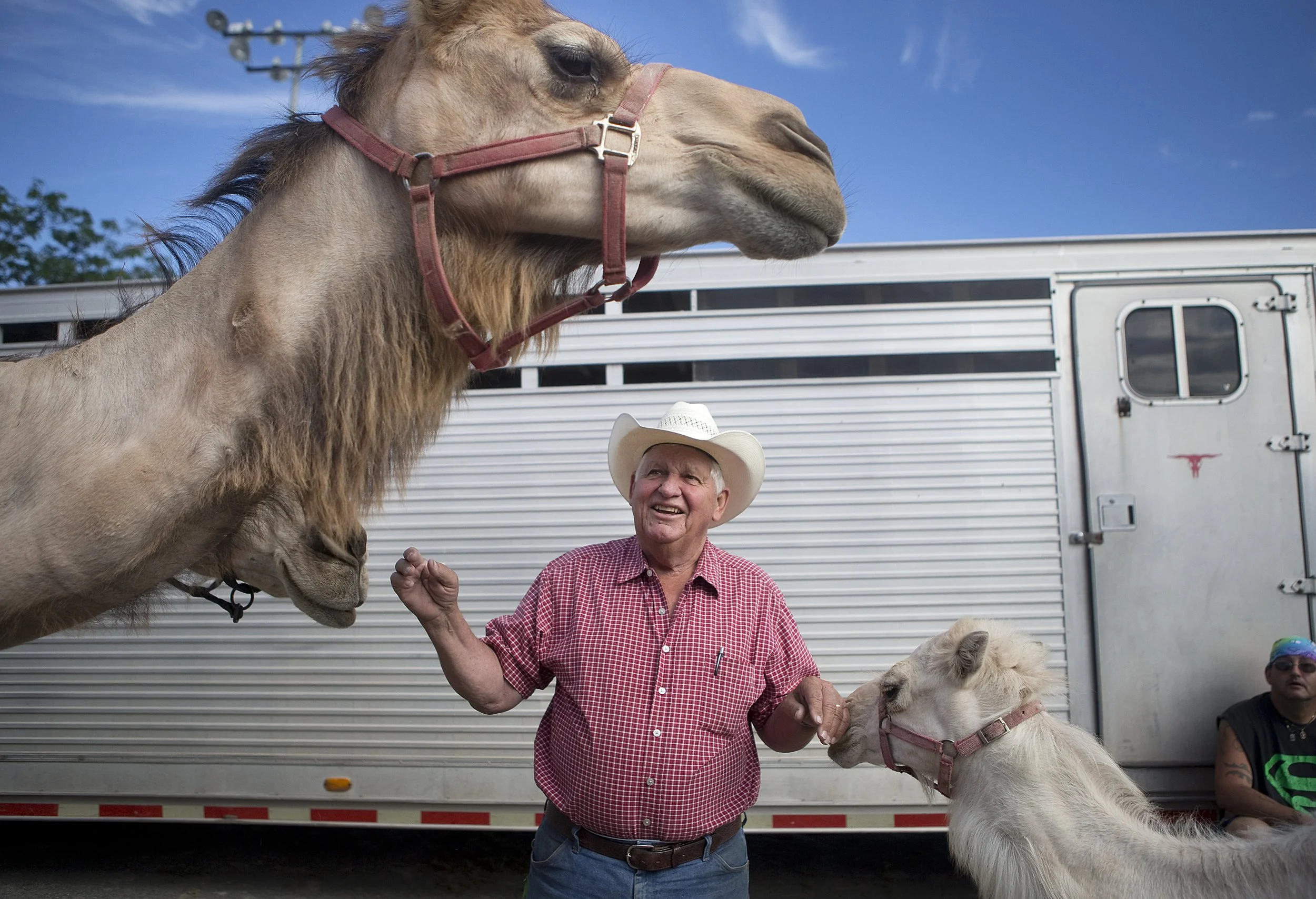  Joe Hedrick, owner of Hedrick Exotic Animal Farm out of Hutchinson, Kansas, shows off his camels that will appear in his petting zoo and exhibition at the Salem Fair from June 28 - July 9 at the Salem Civic Center. Hedrick arrived on Sunday and has 