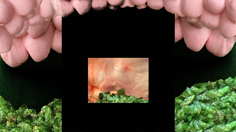 4b7570_9e5334cf93fe4bb4b42b0d9f855a6097_mv2_d_2100_1204_s_2.png