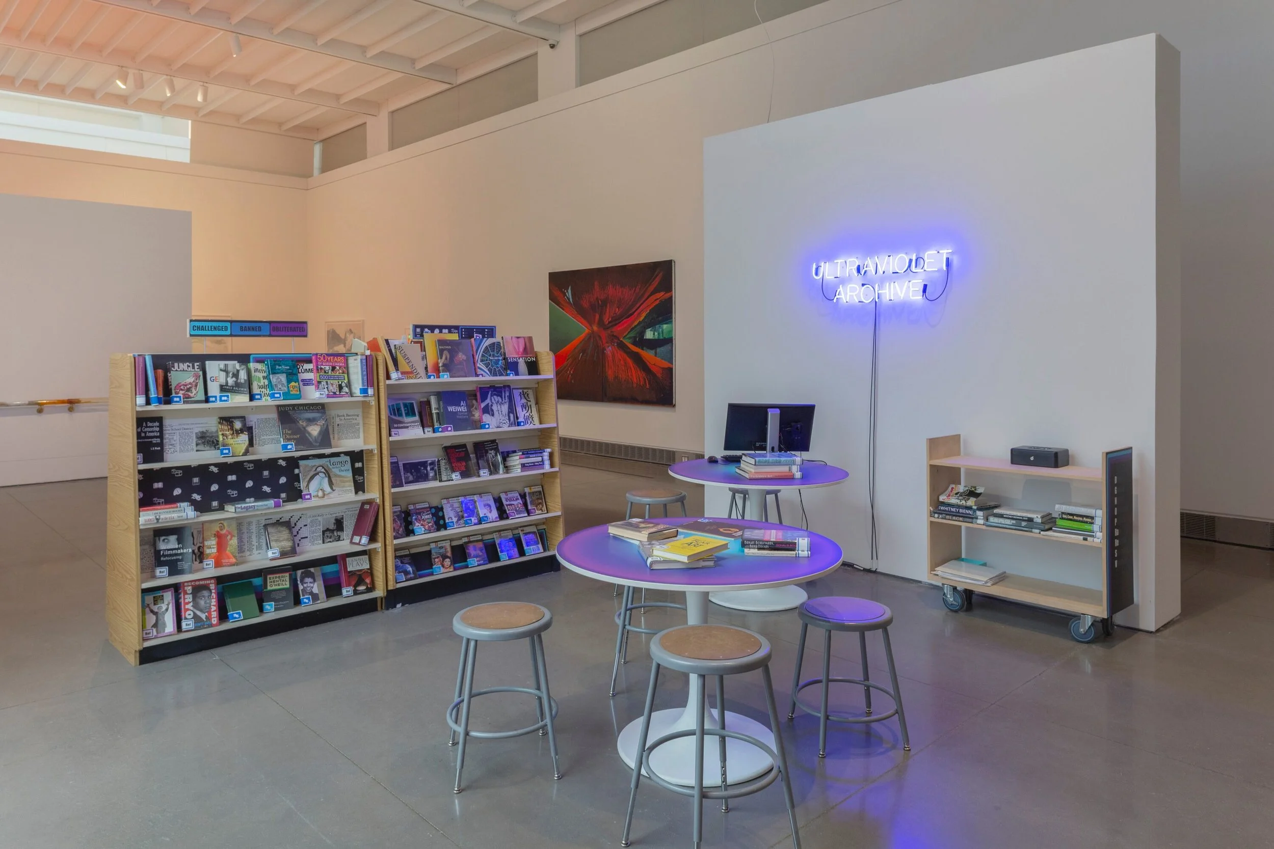 Image: Christina Freeman, UltraViolet Archive, 2018 in Queens International 2018: Volumes Photo: Hai Zhang