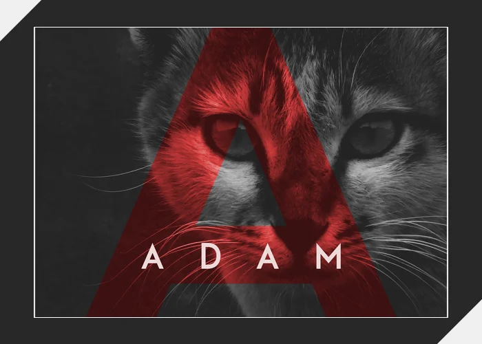 Adam1.jpg