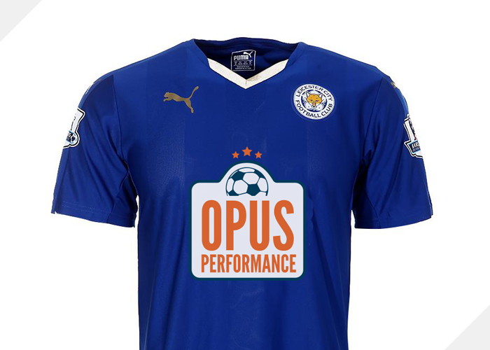 An example of where the logo will be used.