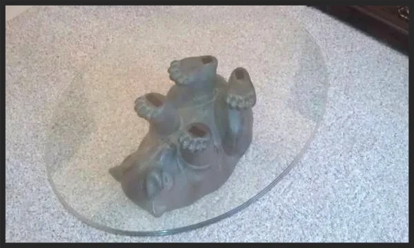 bear.jpg