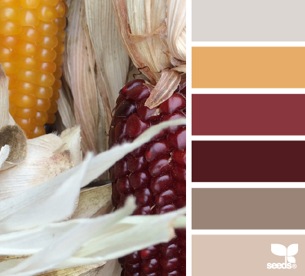 ColorCorn6.png