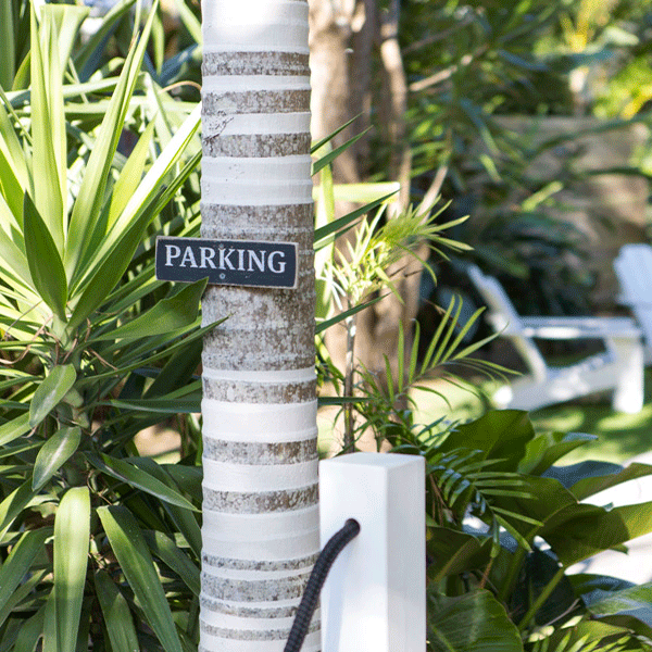 Painted stripes on tree trunks.
