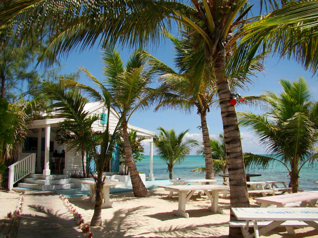 And the renowned Da Conch Shack .