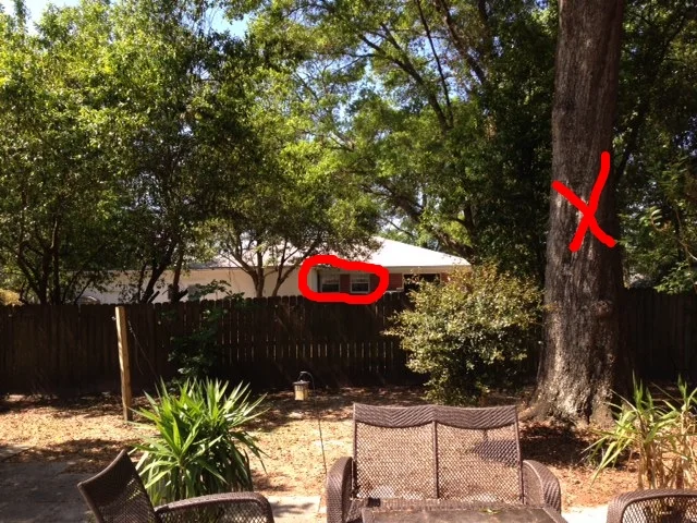 backyardbefore3a.jpg